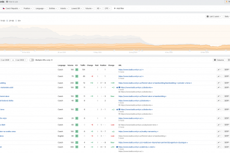 Školení SEO | Dlouhý ocas v SEO