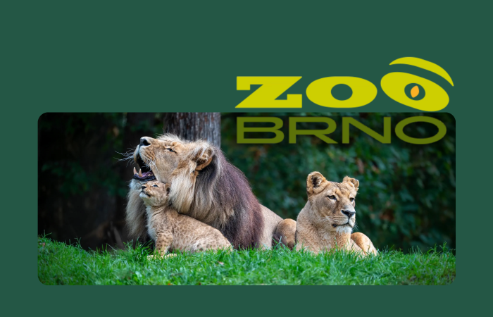 Zoo Brno - videoreklama YouTube, správa FB profilu, PPC reklamní kampaně