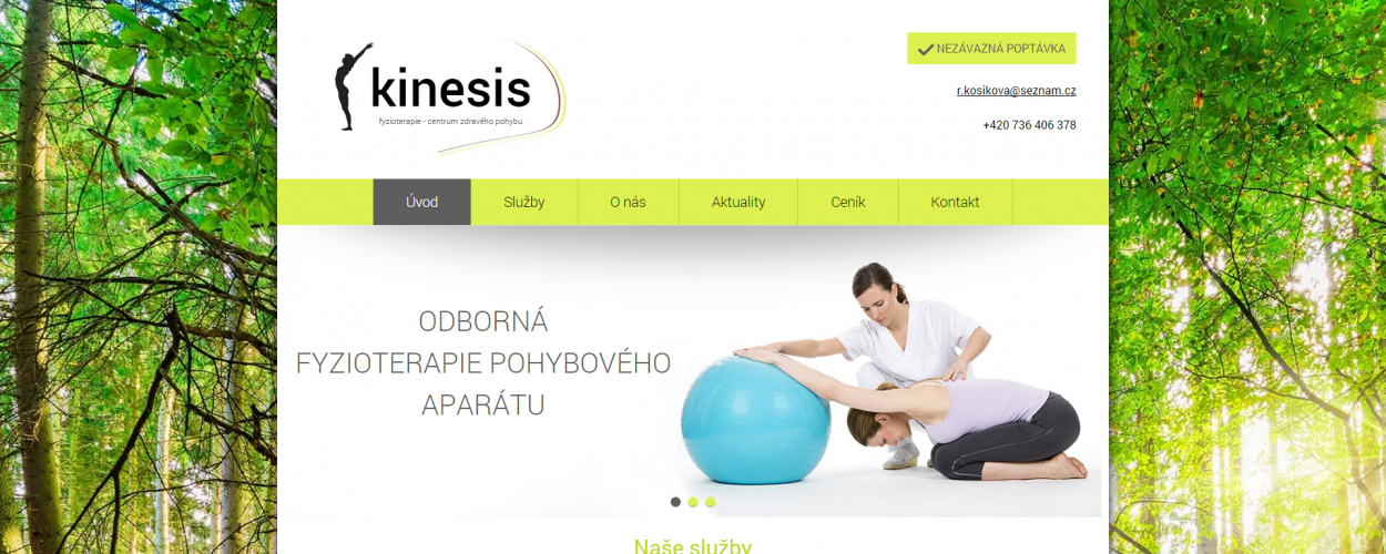 Fyzioterapie-Kinesis.cz