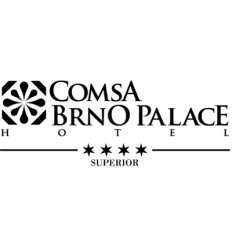 Online marketingová strategie pro Comsa Brno Palace Hotel