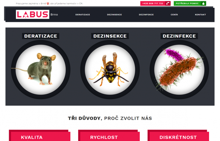 Deratizace Labus – tvorba webu