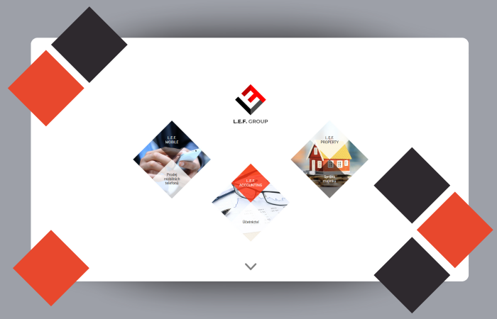 Tvorba webu pro L.E.F. group