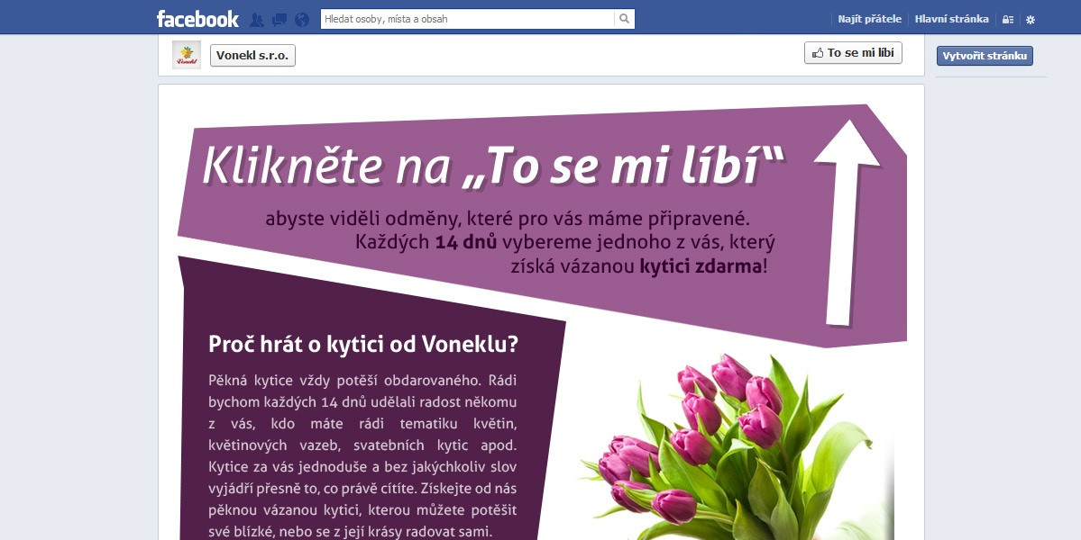 Vonekl - Facebook reklamní kampaň