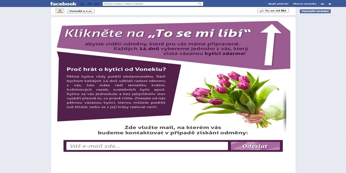 Vonekl - Facebook reklamní kampaň