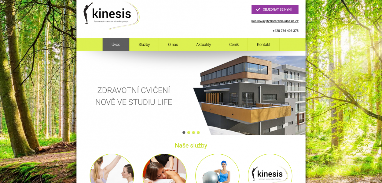 Fyzioterapie Kinesis Brno - dlouhodobá péče o zlepšení dohledatelnosti webu.