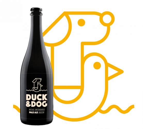 Tvorba nového webu pro DUCK & DOG