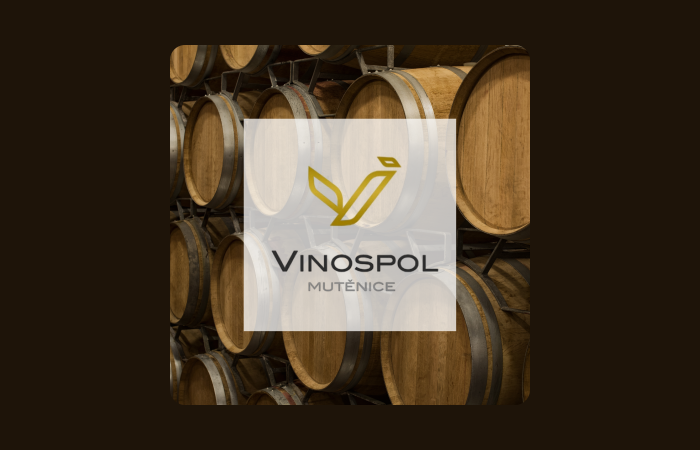 Vinospol - SEO a PPC reklamní kampaně