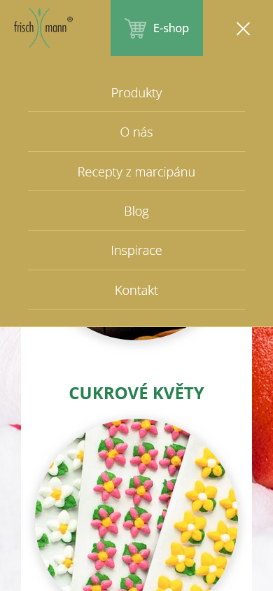 Tvorba webu pro Frischmann Vyškov