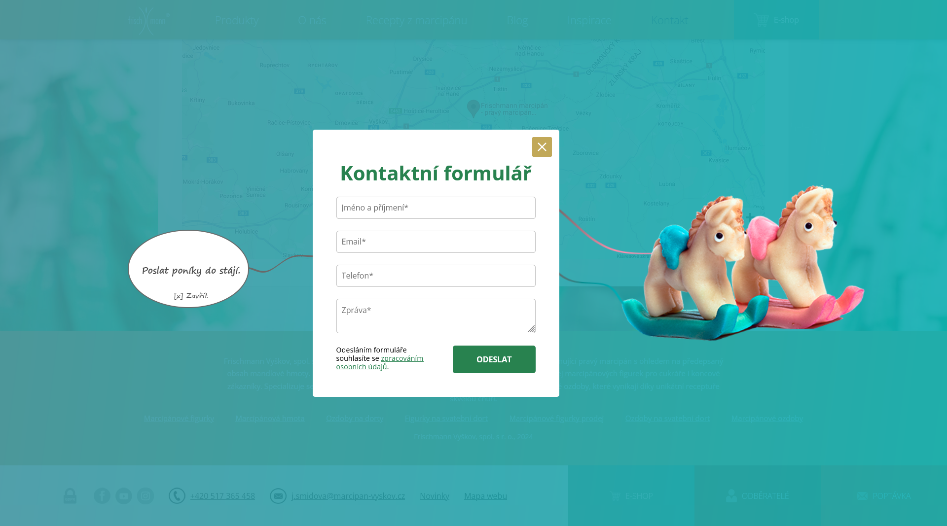 Tvorba webu pro Frischmann Vyškov